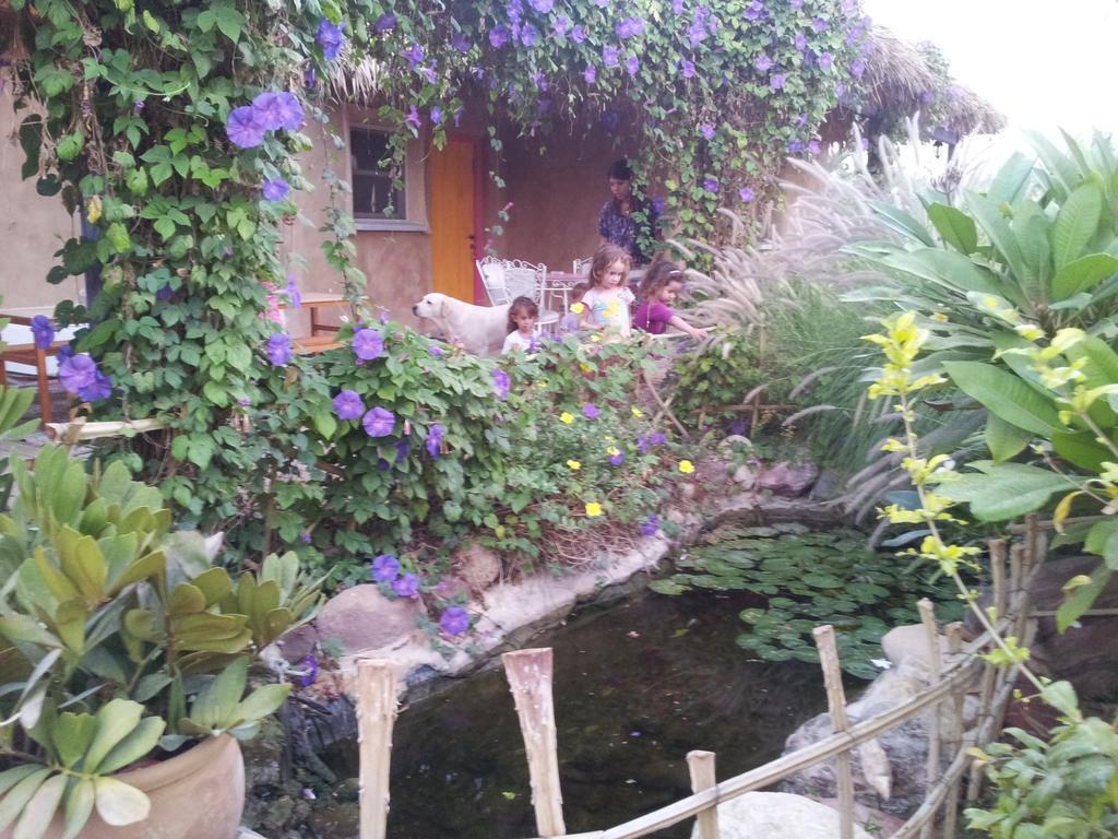 Chalet Rotem's-רותמ'ס *