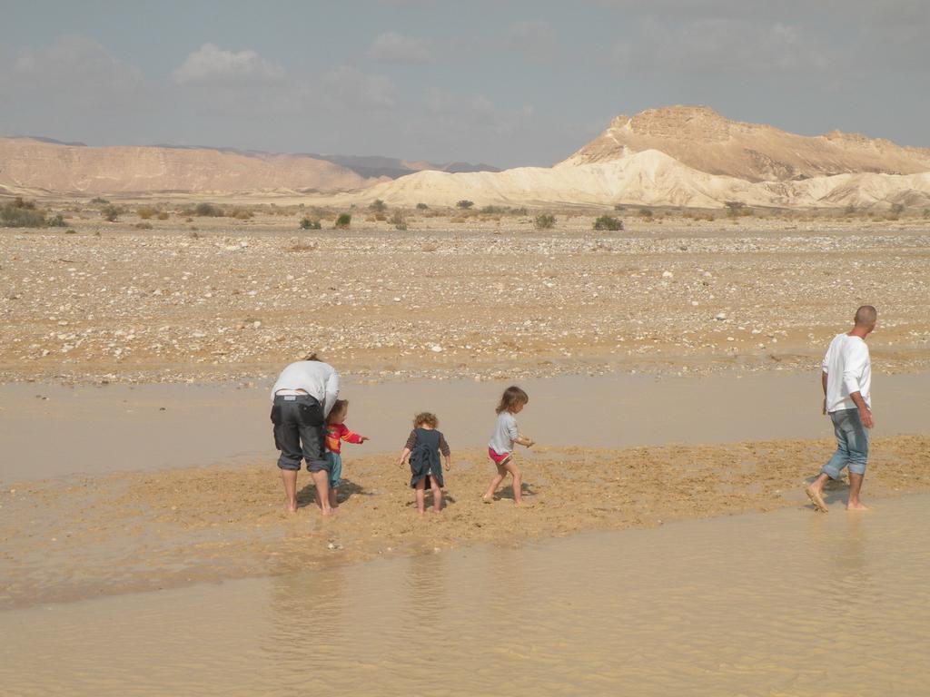 Rotem's-רותמ'ס Paran